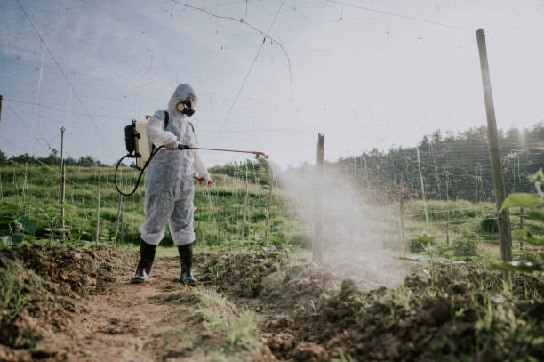 Best Commercial Pest Control Services  in Vandalia, IL
