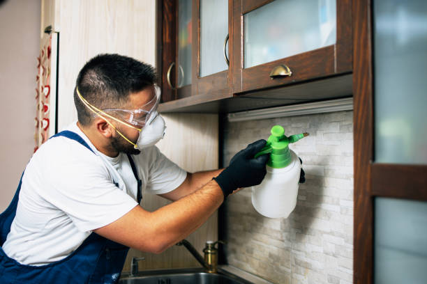 Best Affordable Pest Control Services  in Vandalia, IL