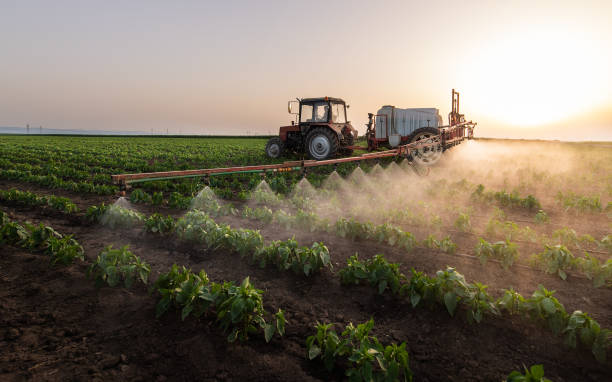 Best Mosquito Control Services  in Vandalia, IL