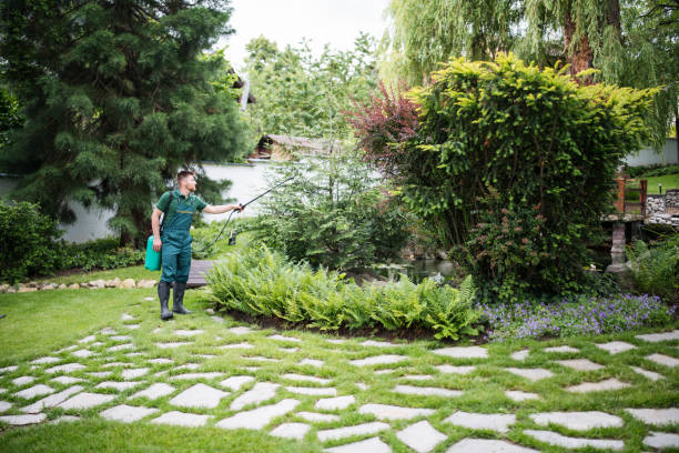 Professional Pest Control in Vandalia, IL