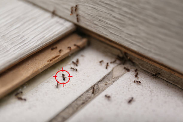 Pest Control Cost in Vandalia, IL