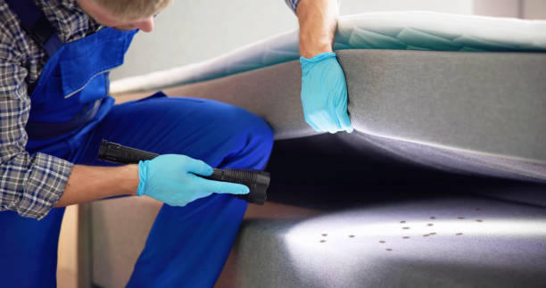 Best Residential Pest Control  in Vandalia, IL