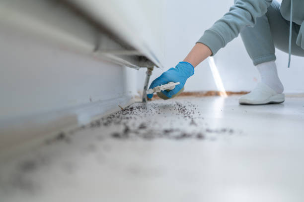 Best Best Pest Control Companies  in Vandalia, IL